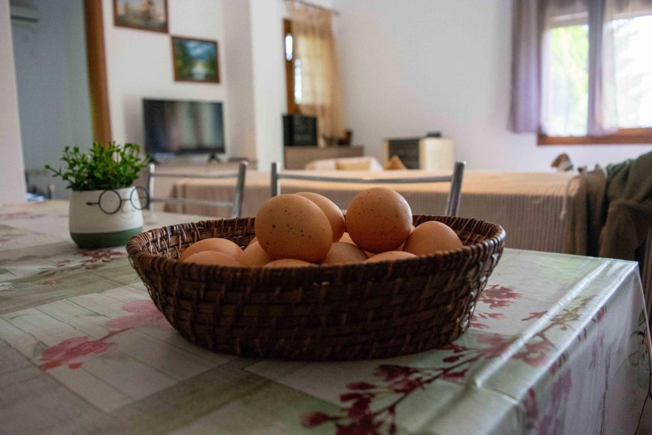 Efi'S Guest House Айос-Дімітріос Екстер'єр фото